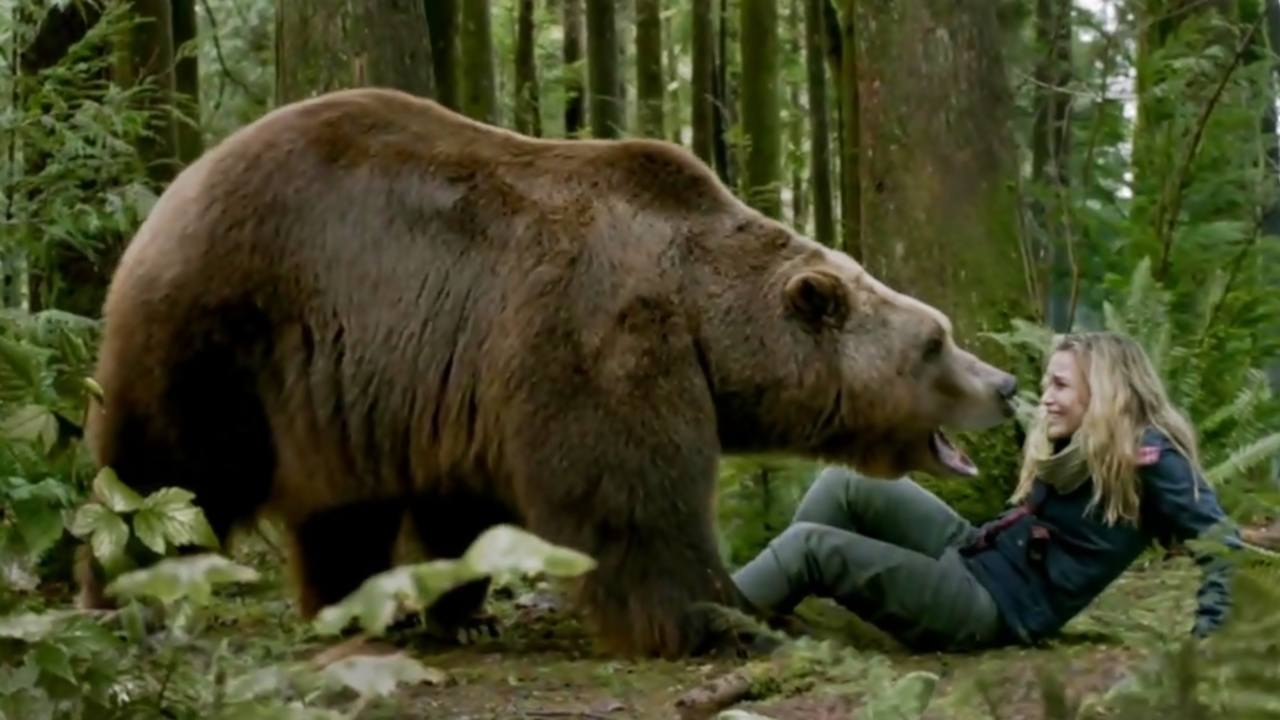 Il labirinto del Grizzly Film (2013)